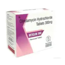 Sihil Vetclin 300Mg Clindamycin Hydrochloride Tablets For Dogs And Cats - Image 2