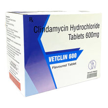 Ecoro Vetclin 600Mg Tablets For Dogs And Cats