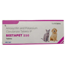 Skyec Beetapet Tablet 250Mg Amoxycillin Potassium Clavulanate For Dogs And Cats