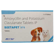 Skyec Beetapet Tablet 375Mg Amoxycillin Potassium Clavulanate For Dogs And Cats