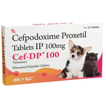 Skyec Cef Dp 100Mg For Dogs And Cats