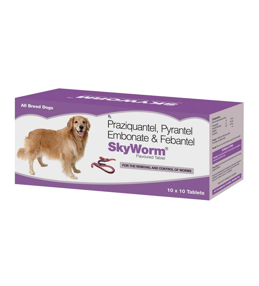 Skyec Skyworm Dog Deworming Tablet — side view
