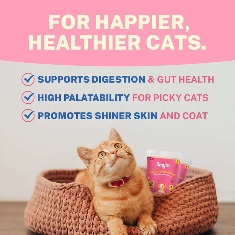 Smylo Mackerel Kanikama And Cranberry Fresh And No Preservative Adult Cat Wet Food - Image 2