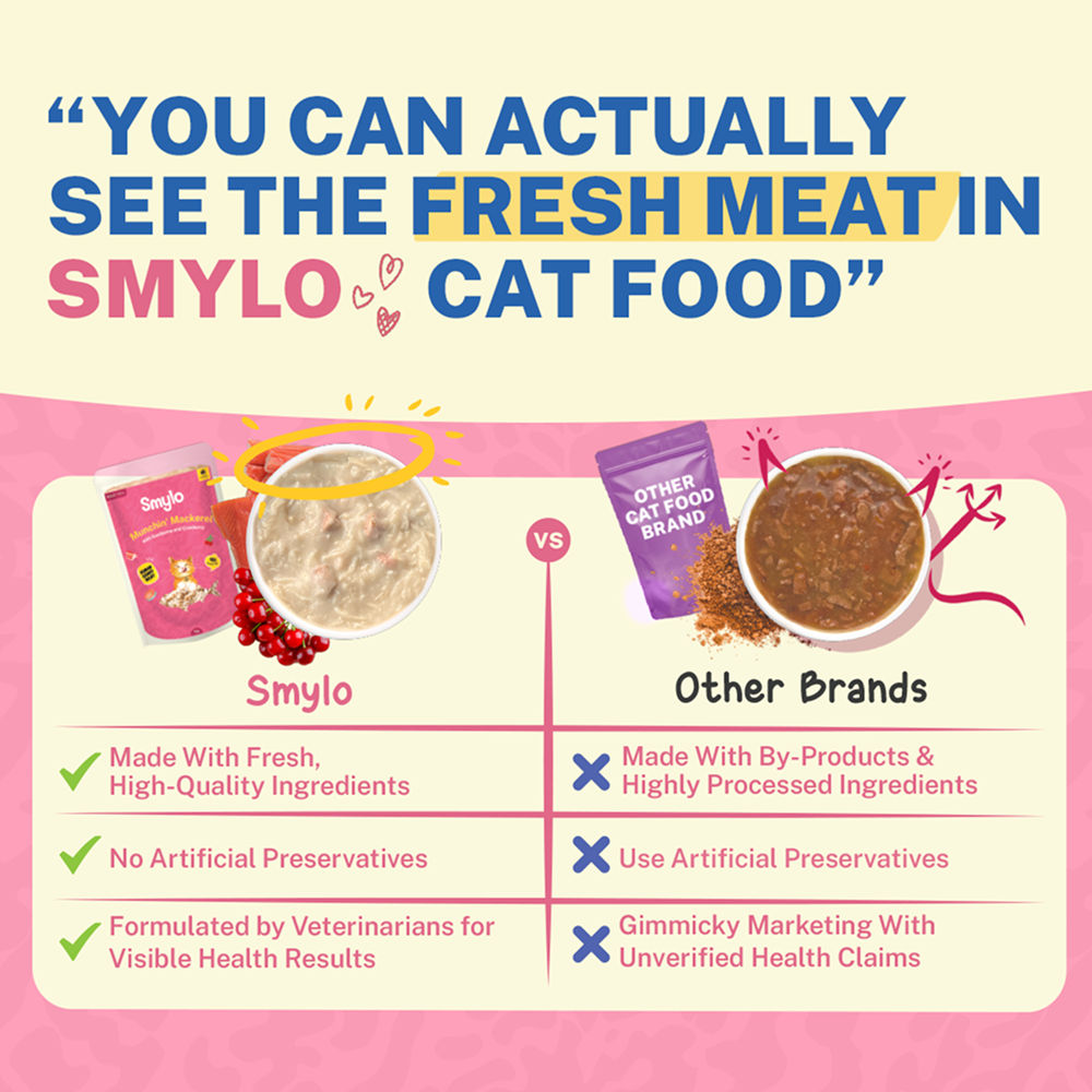 Smylo Mackerel Kanikama And Cranberry Fresh And No Preservative Adult Cat Wet Food - Image 4