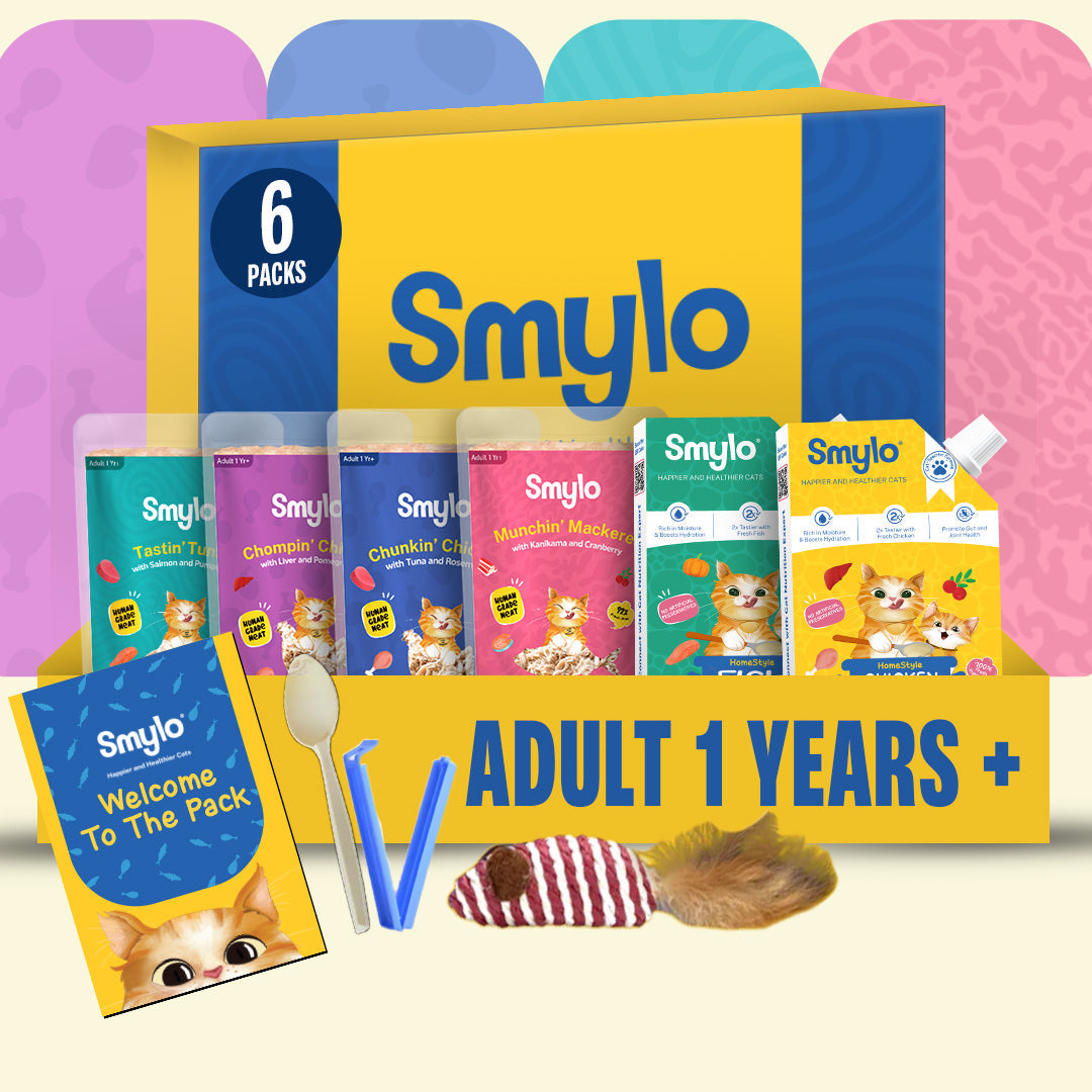 Smylo Adult Trial Box with 2 Bone Broths, Cat Wet Food - Image 2