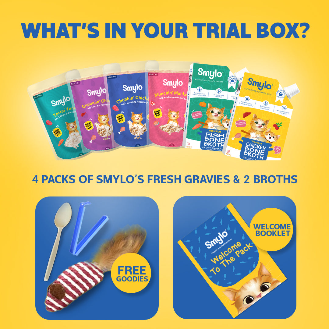 Smylo Adult Trial Box with 2 Bone Broths, Cat Wet Food - Image 5