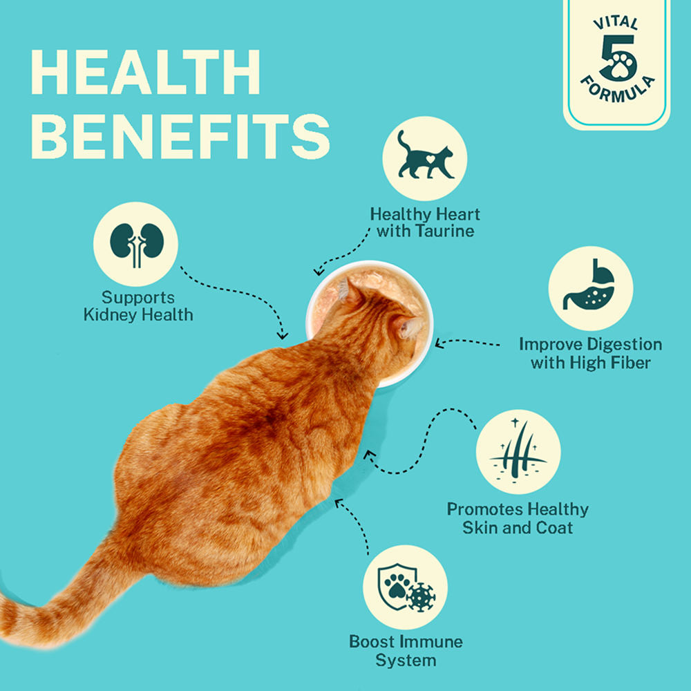 Smylo Tuna Salmon Pumpkin Fresh And No Preservative Adult Cat Wet Food - Image 5