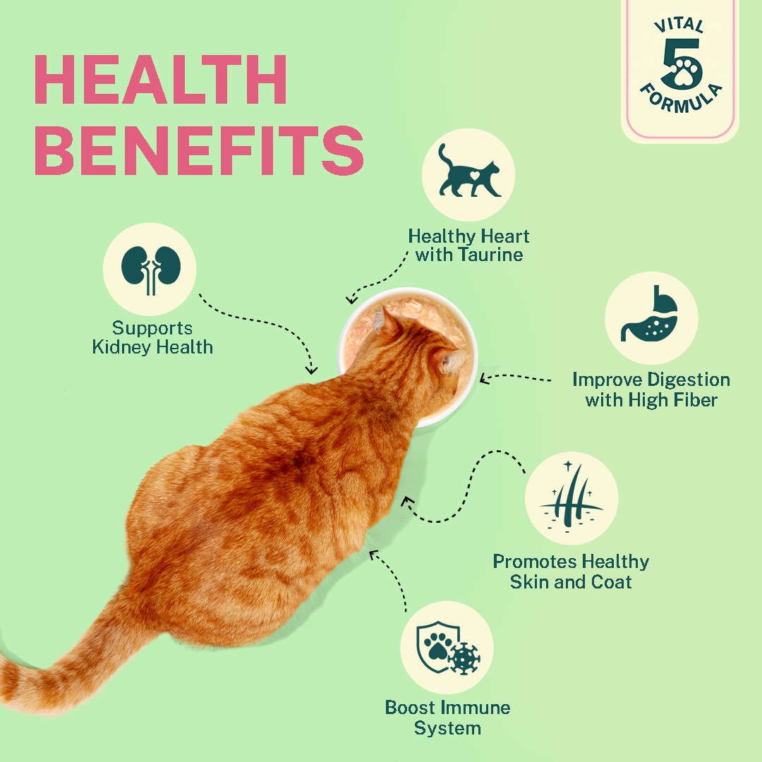 Smylo Fish Combo Pack, Tuna & Mackerel, Adult Cat Wet Food - Image 5