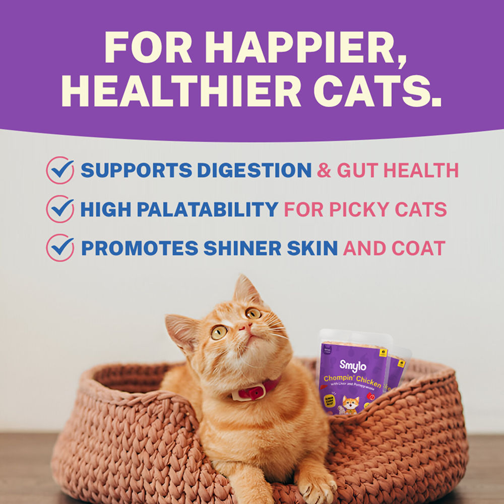Smylo Chicken Liver And Pomergranate Fresh And No Preservative Kitten Cat Wet Food - Image 5