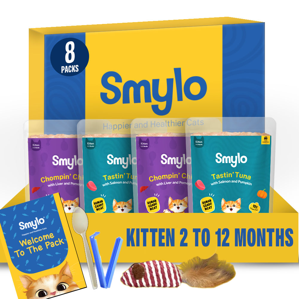 Smylo Trial Box Tuna And Chicken Fresh And No Preservative Kitten Cat Wet Food