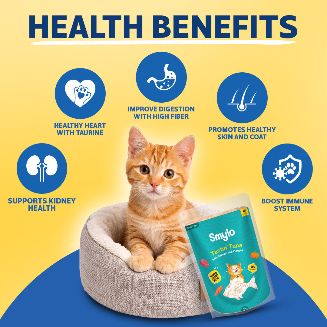 Smylo Trial Box Tuna And Chicken Fresh And No Preservative Kitten Cat Wet Food - Image 4