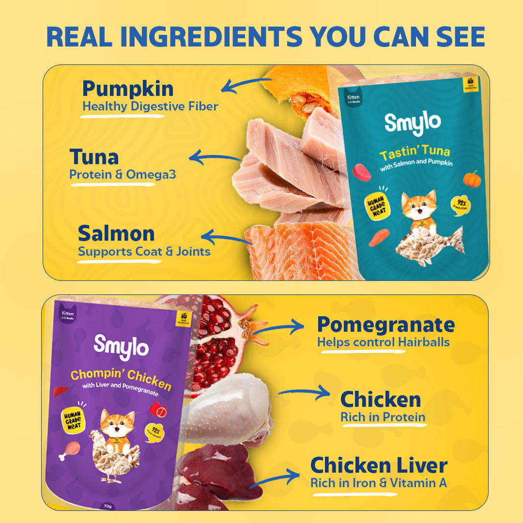 Smylo Trial Box Tuna And Chicken Fresh And No Preservative Kitten Cat Wet Food - Image 5