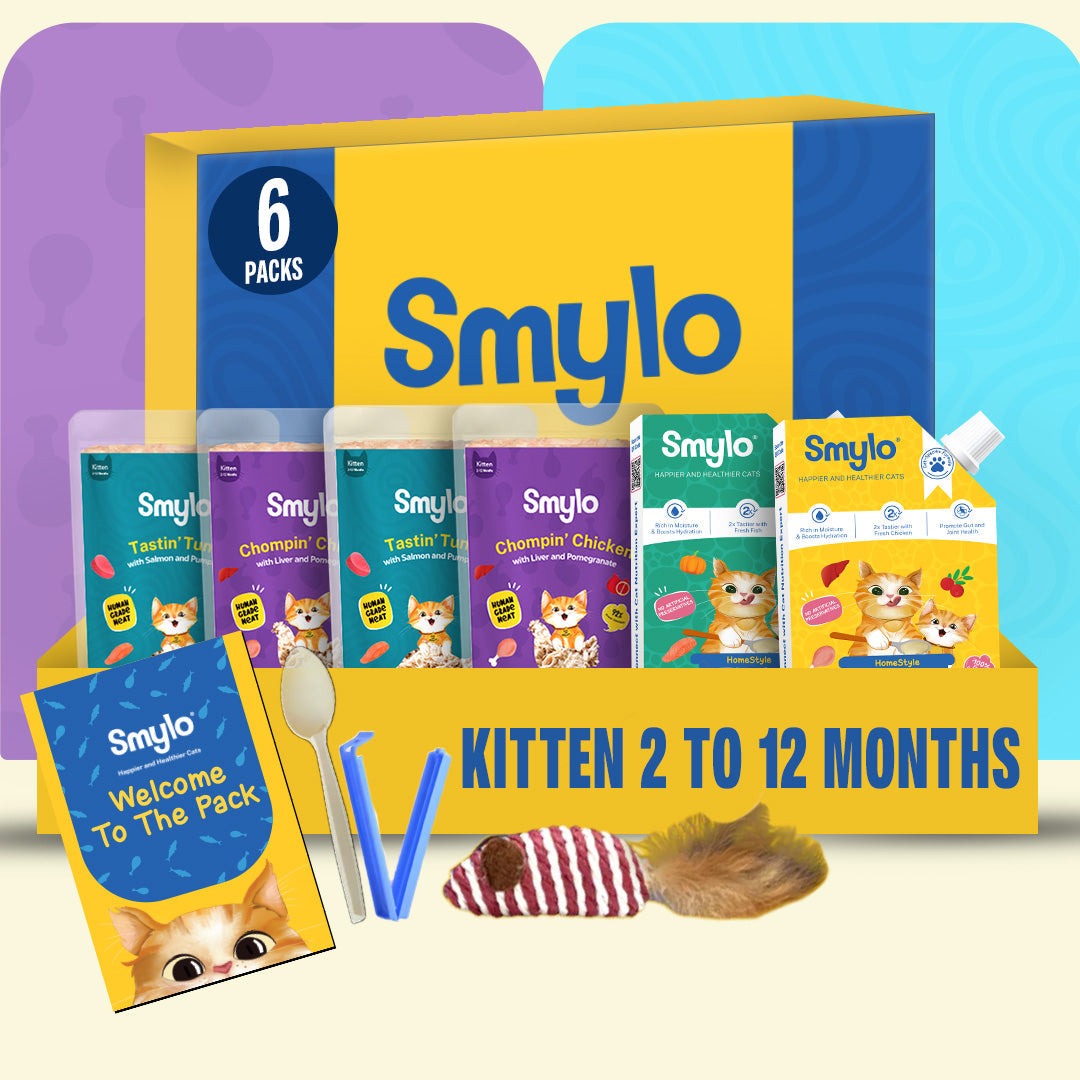 Smylo Kitten Trial Box with 2 Bone Broths, Cat Wet Food - Image 2