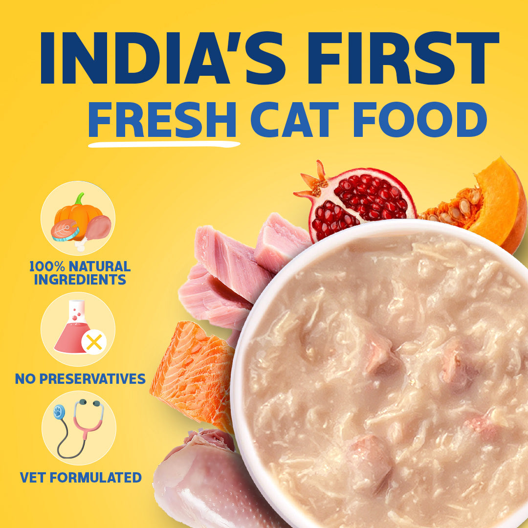 Smylo Kitten Trial Box with 2 Bone Broths, Cat Wet Food - Image 4