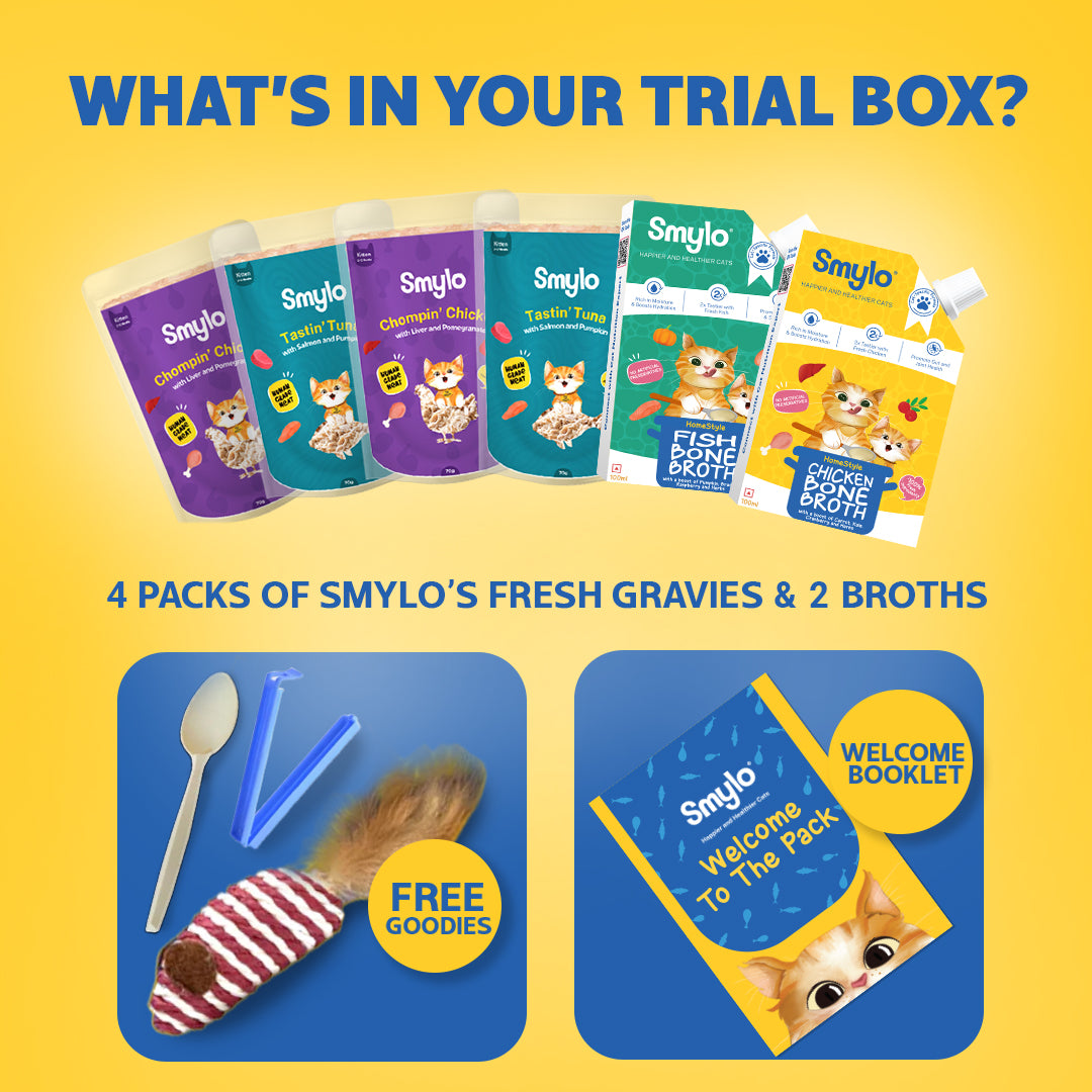 Smylo Kitten Trial Box with 2 Bone Broths, Cat Wet Food - Image 5