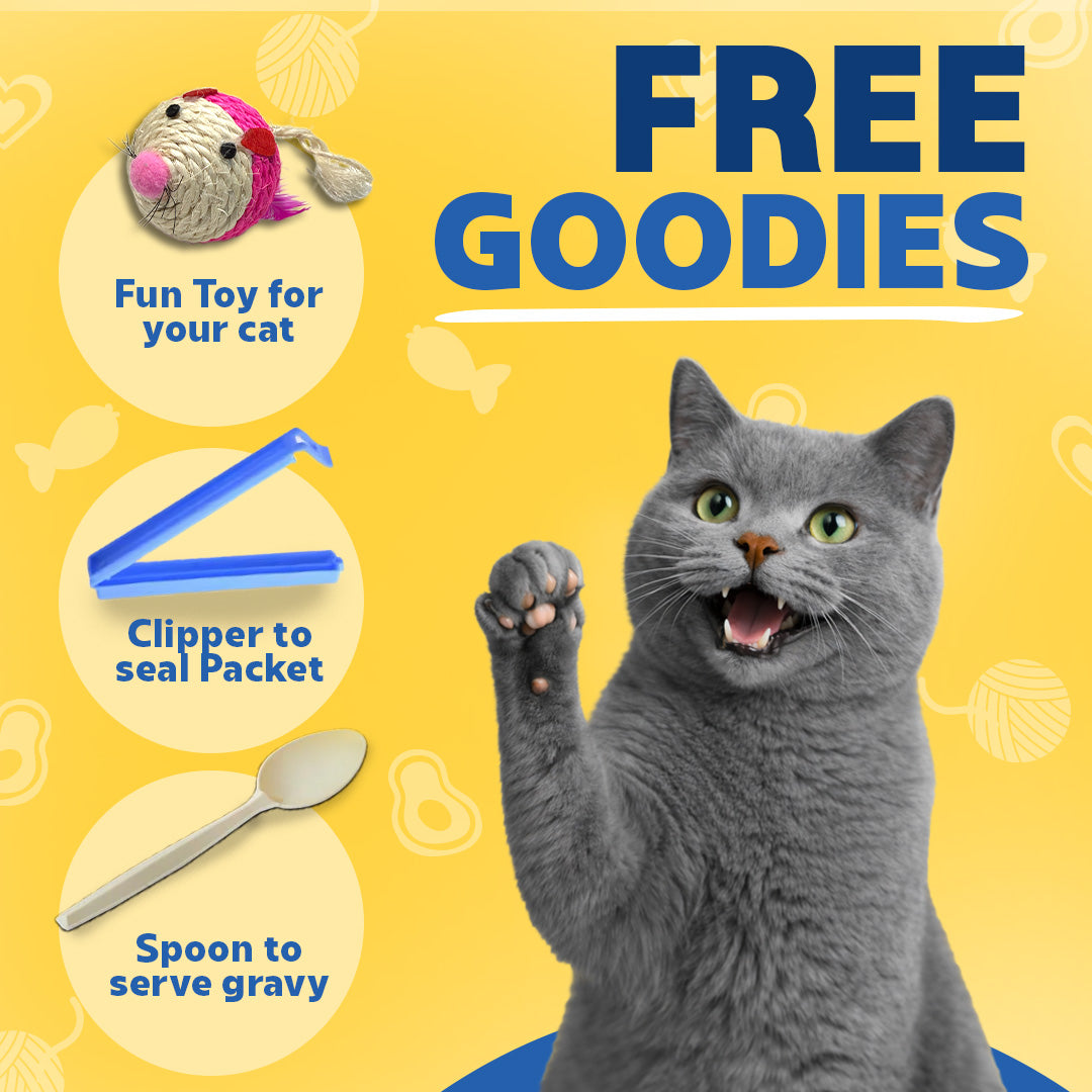 Smylo Kitten Trial Box with 2 Bone Broths, Cat Wet Food - Image 6