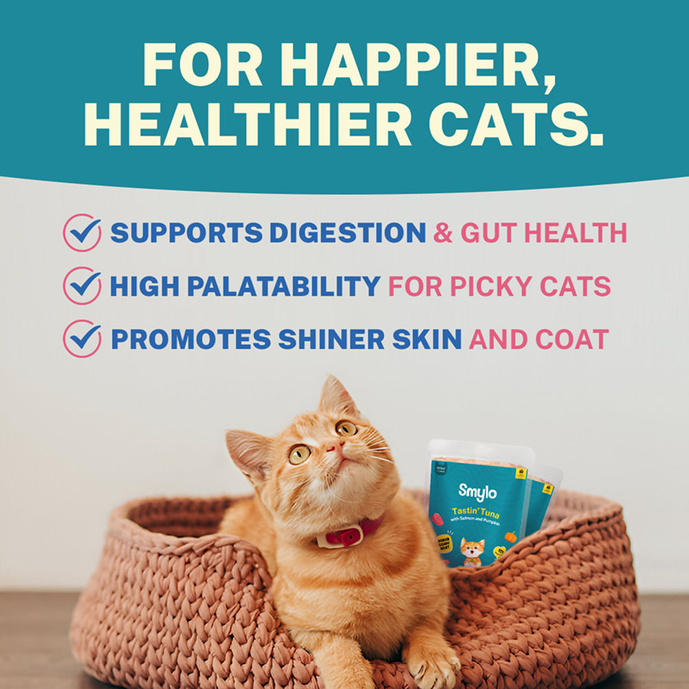 Smylo Tuna Salmon And Pumpkin Fresh And No Preservative Kitten Cat Wet Food - Image 5