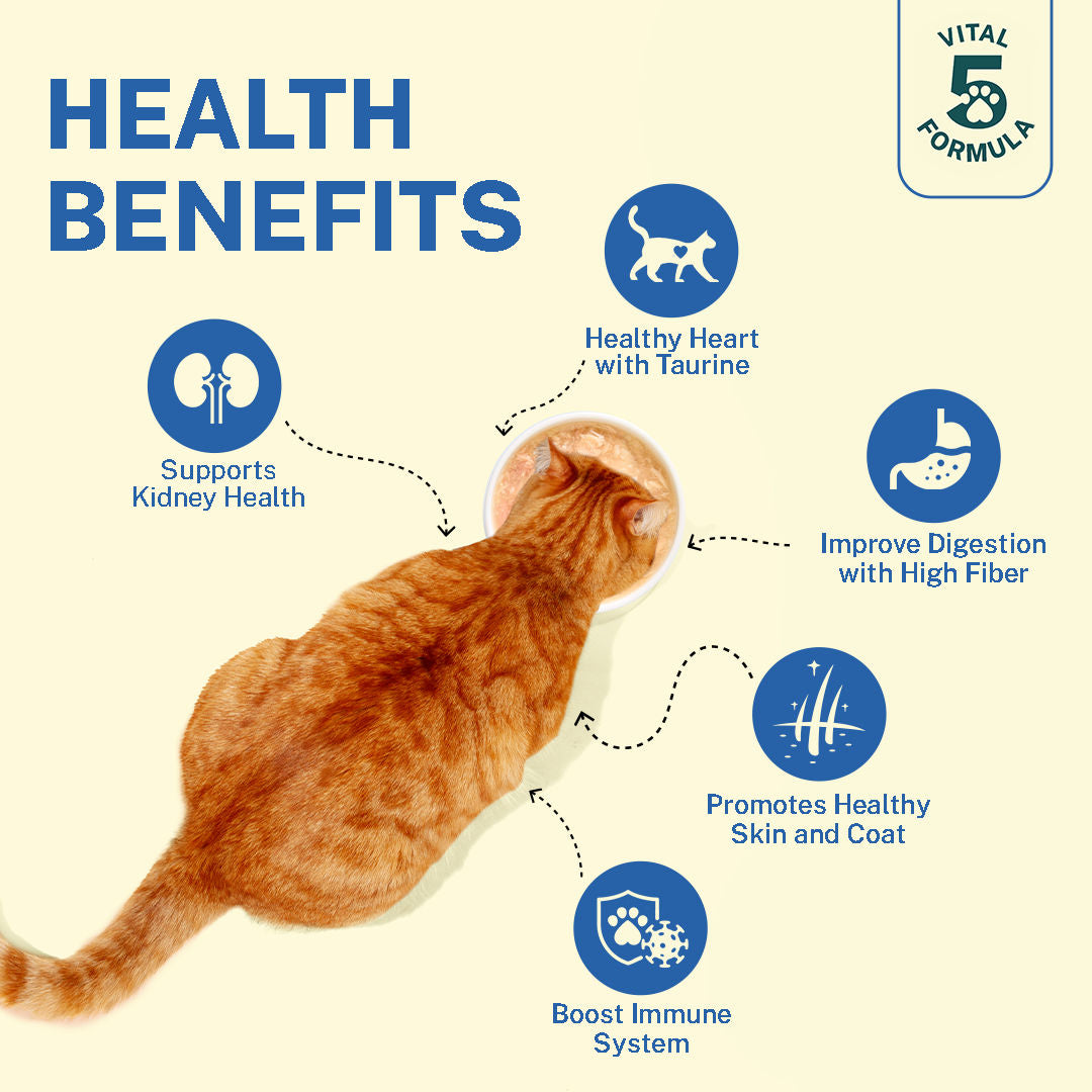 Smylo Kitten Variety Combo Tuna Chicken Fresh No Preservative Wet Cat Food - Image 4