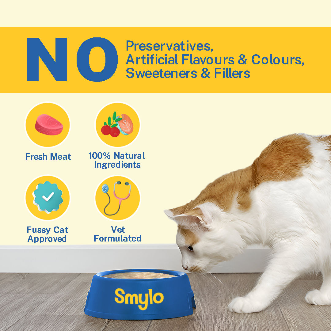Smylo Kitten Variety Combo Tuna Chicken Fresh No Preservative Wet Cat Food - Image 5