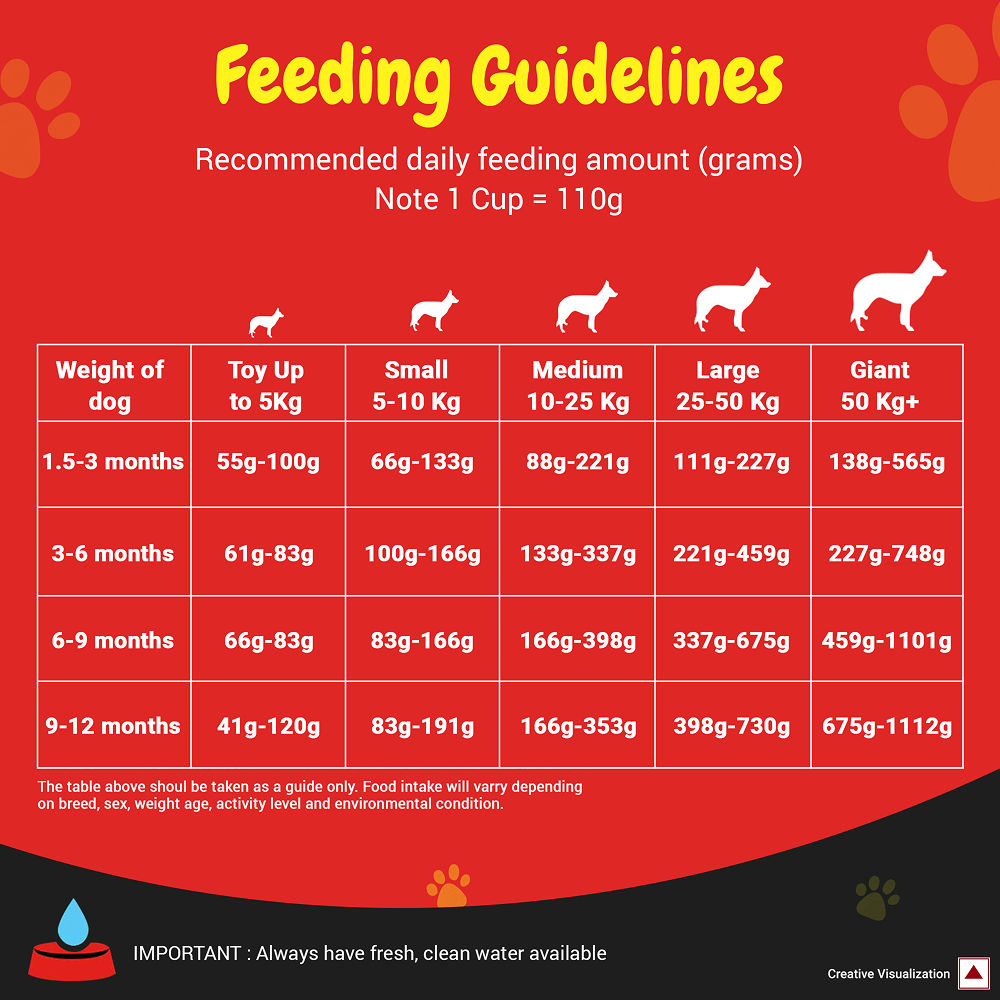 Purina SuperCoat Chicken Smartblend Puppy Dog Dry Food — detail shot