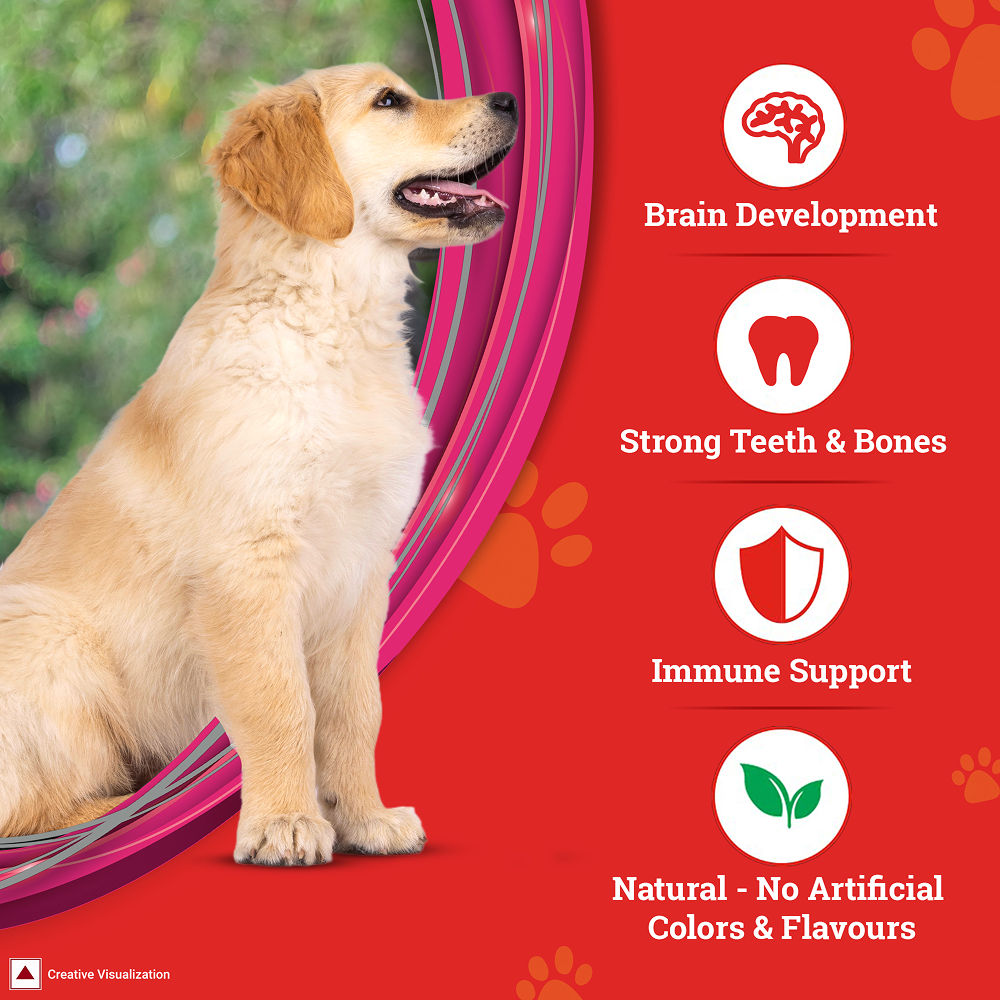 Purina SuperCoat Chicken Smartblend Puppy Dog Dry Food — in use