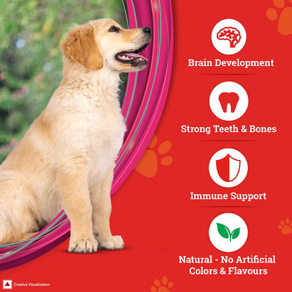 Purina SuperCoat Chicken Smartblend Puppy Dog Dry Food — in use