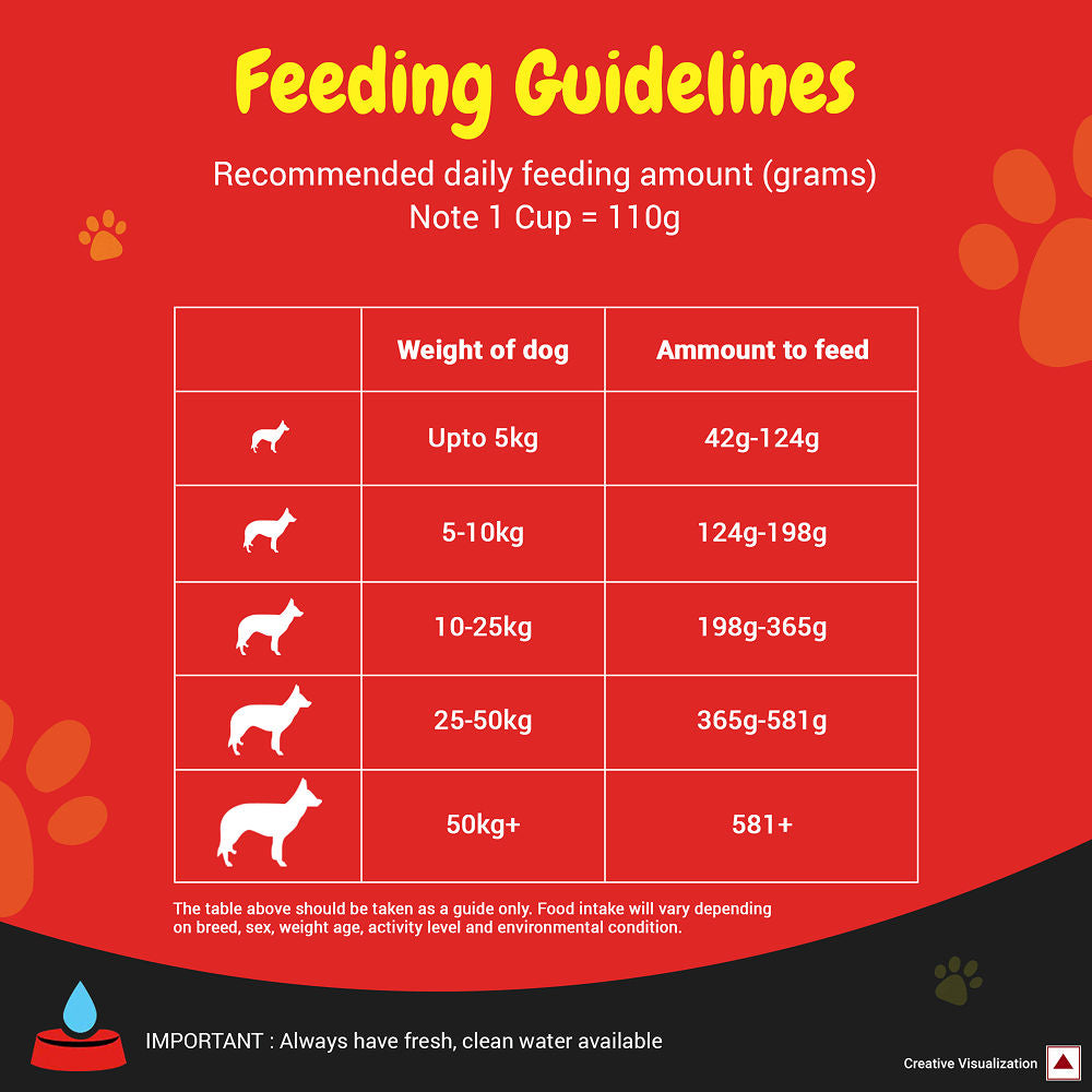 Purina SuperCoat with Chicken Smartblend Adult Dog Dry Food — in use