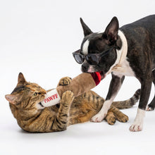 Wtf Pawff Puff Plush Toy For Dogs And Cats