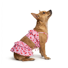 Wtf Pet Bigginis For Dogs Pink Red