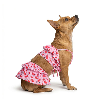 Wtf Pet Bigginis For Dogs Pink Red