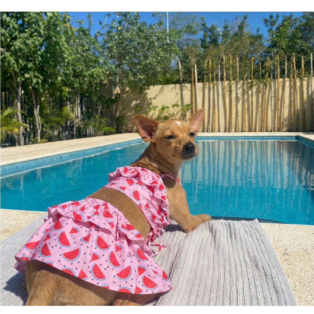 Pet Bigginis For Dogs — side view