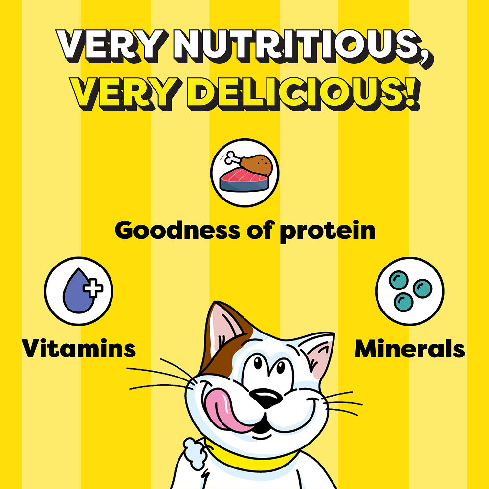 Temptations MixUps Chicken & Salmon Flavour Cat Treats — detail shot