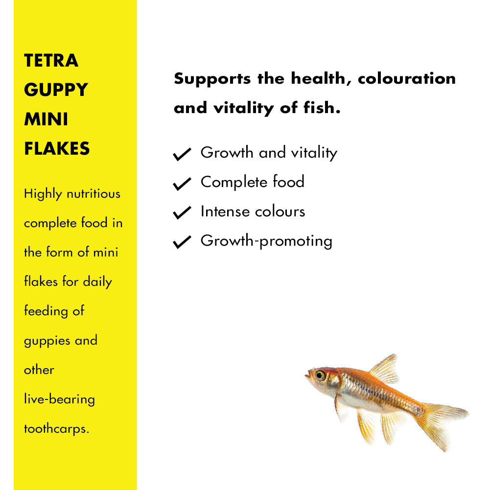 Tetra Complete Guppy Fish Food - Image 4