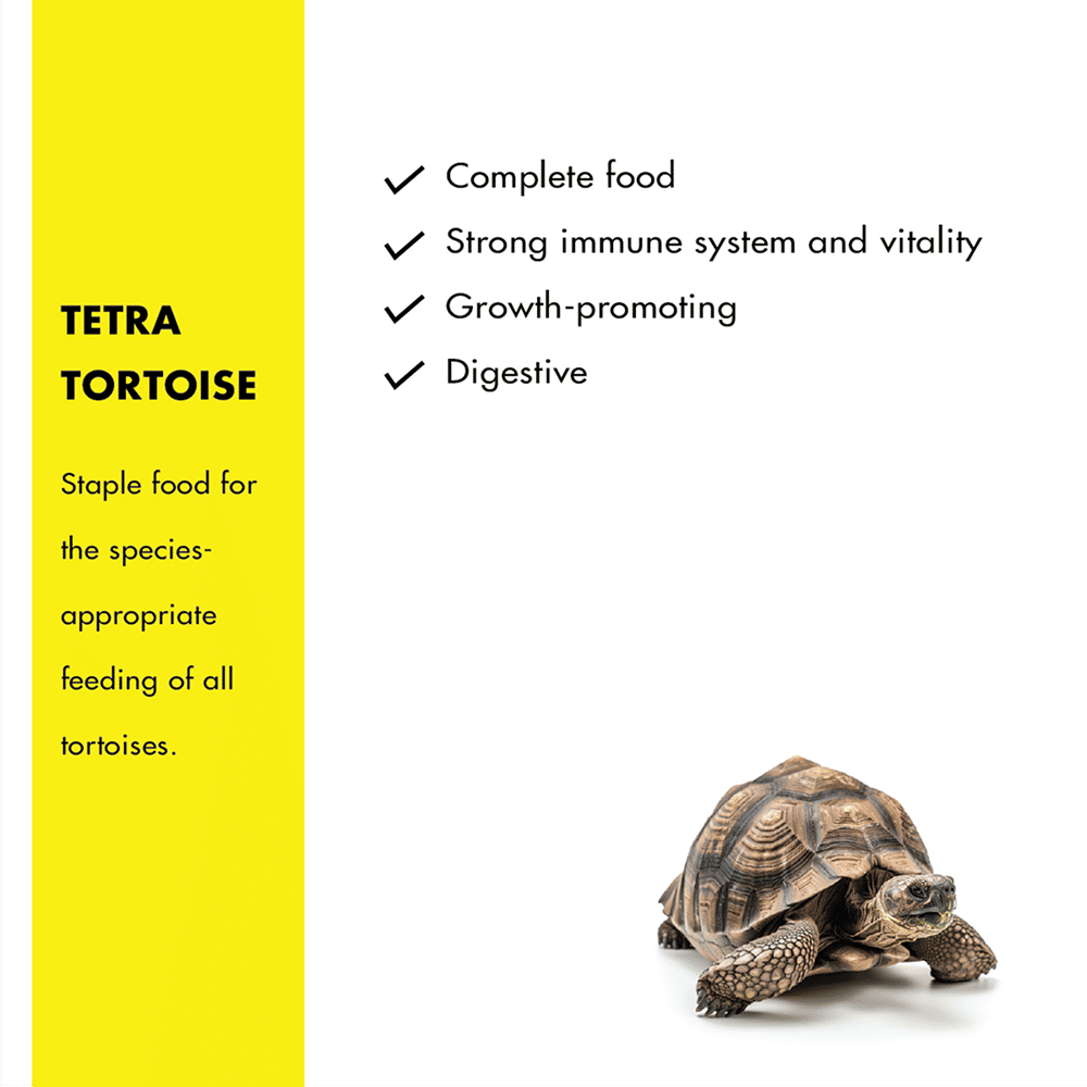 Tetra Complete Tortoise Food - Image 2