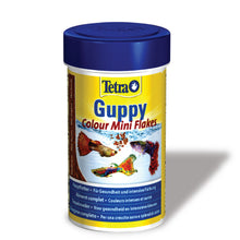 Tetra Guppy Colour Mini Flakes Fish Treat