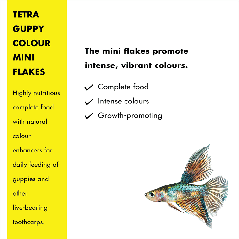 Tetra Guppy Colour Mini Flakes Fish Treat - Image 3