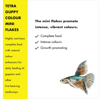 Tetra Guppy Colour Mini Flakes Fish Treat - Image 3
