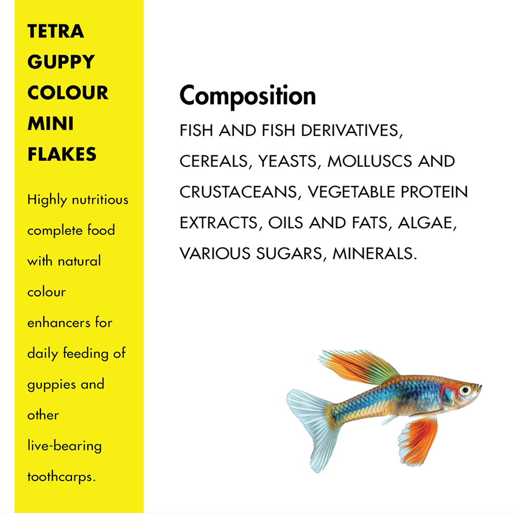 Tetra Guppy Colour Mini Flakes Fish Treat - Image 5