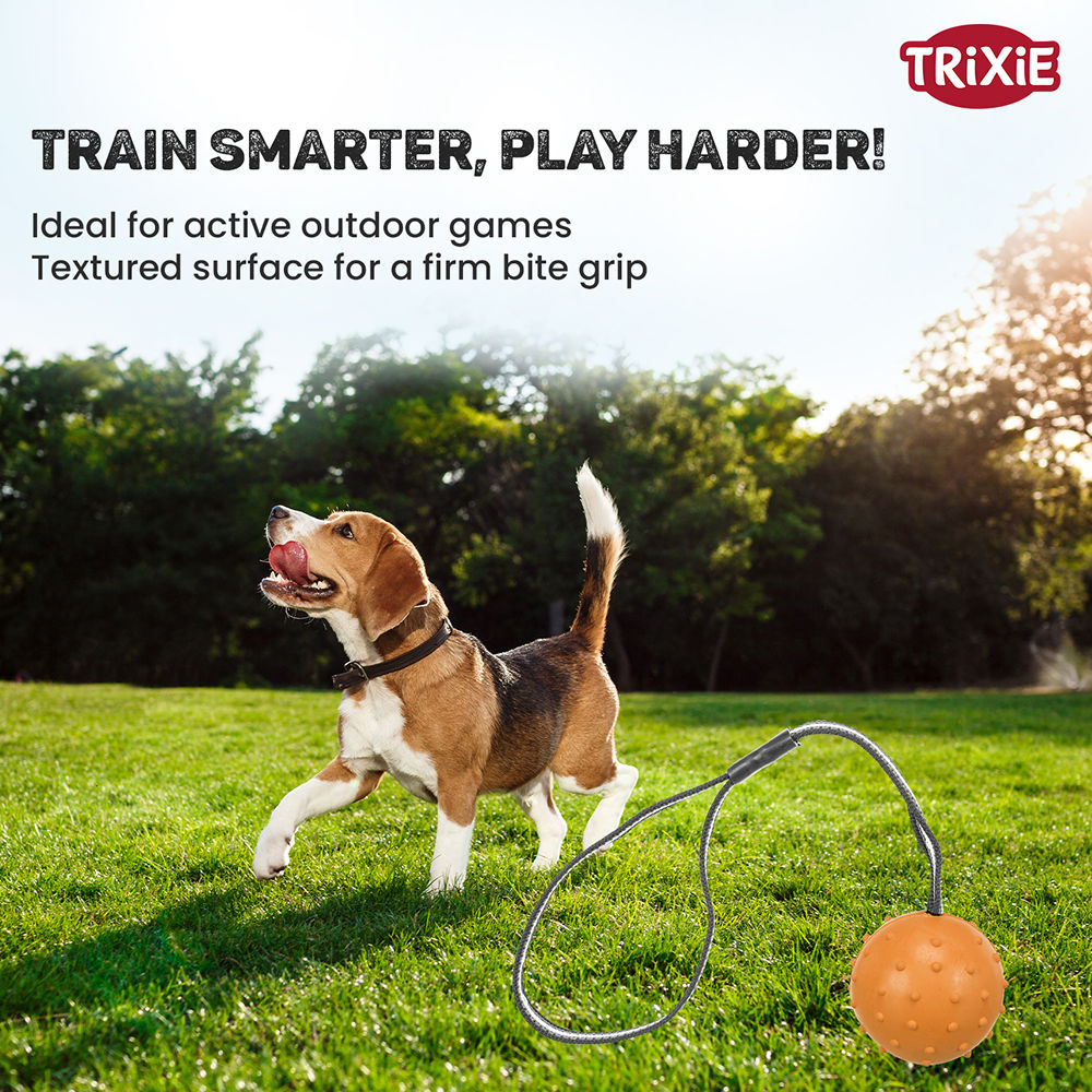 Trixie Ball on a Strap Toy for Dogs — back view