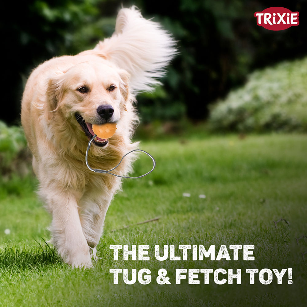 Trixie Ball on a Strap Toy for Dogs — detail shot