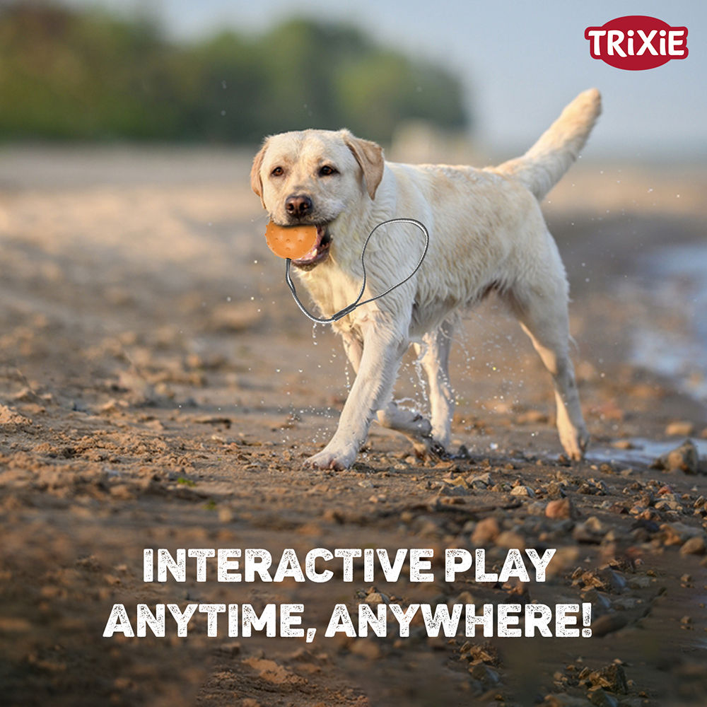Trixie Ball on a Strap Toy for Dogs — in use
