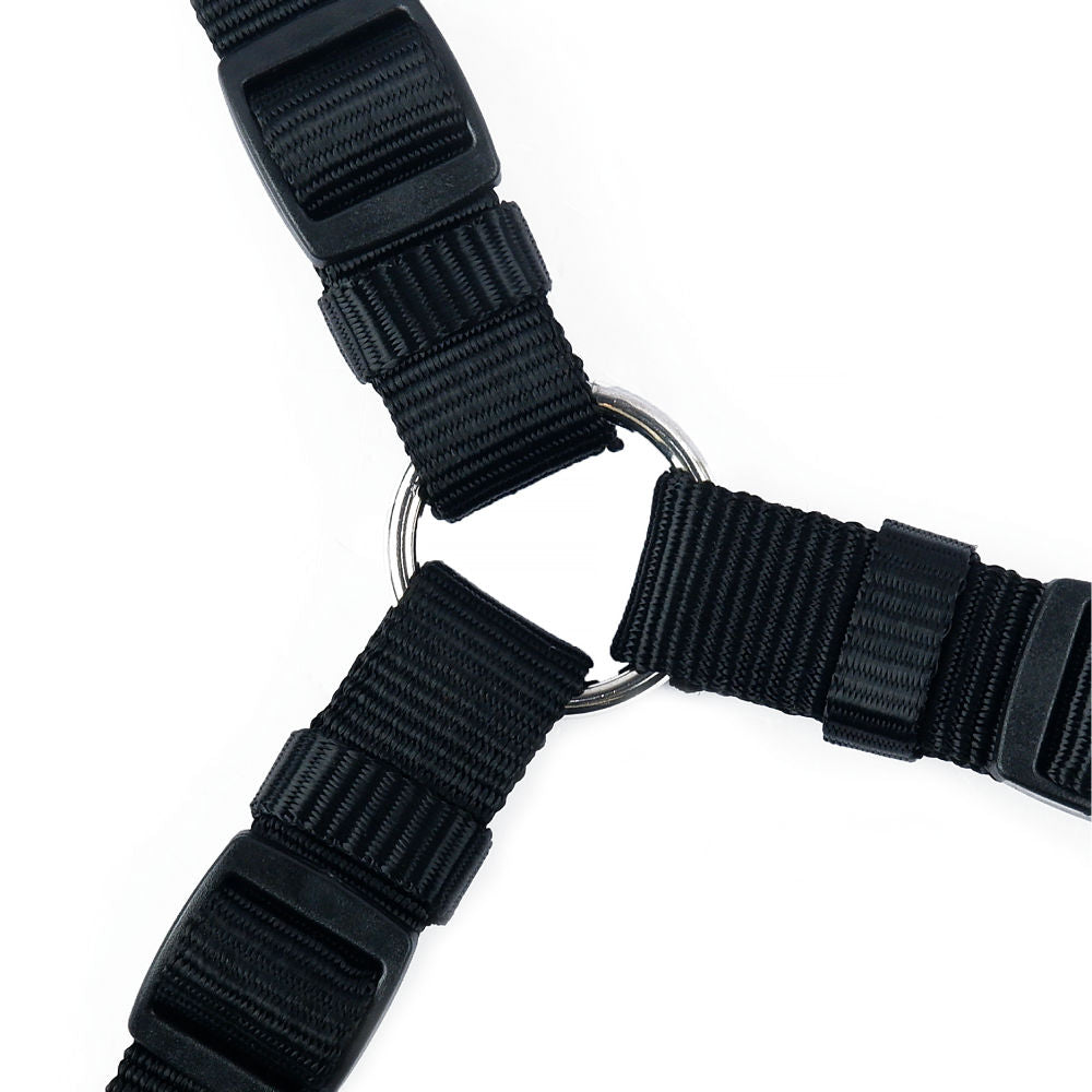 Trixie Classic H Harness for Dogs — detail shot