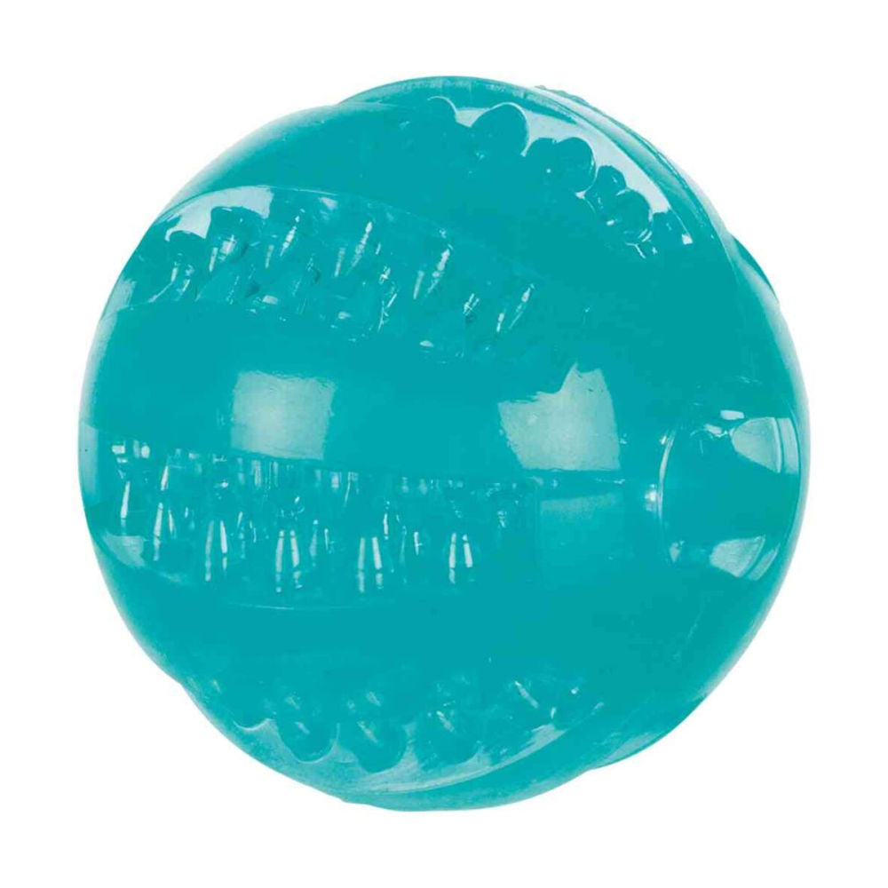 Trixie Denta Fun Ball Mint Flavour Tpr Rubber Toy For Dogs
