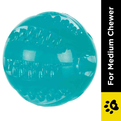 Trixie Denta Fun Ball Mint Flavour TPR Rubber Toy for Dogs — side view