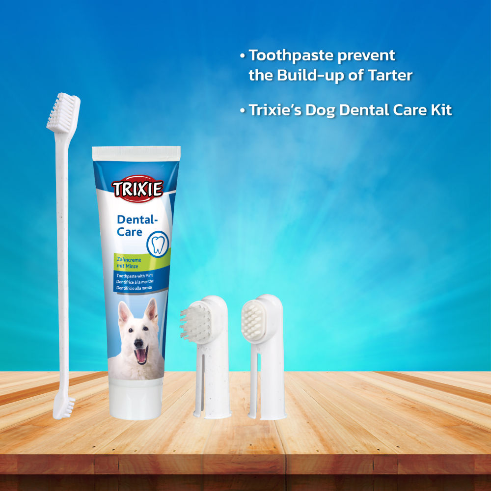 Trixie Dental Hygiene Kit for Dogs — in use