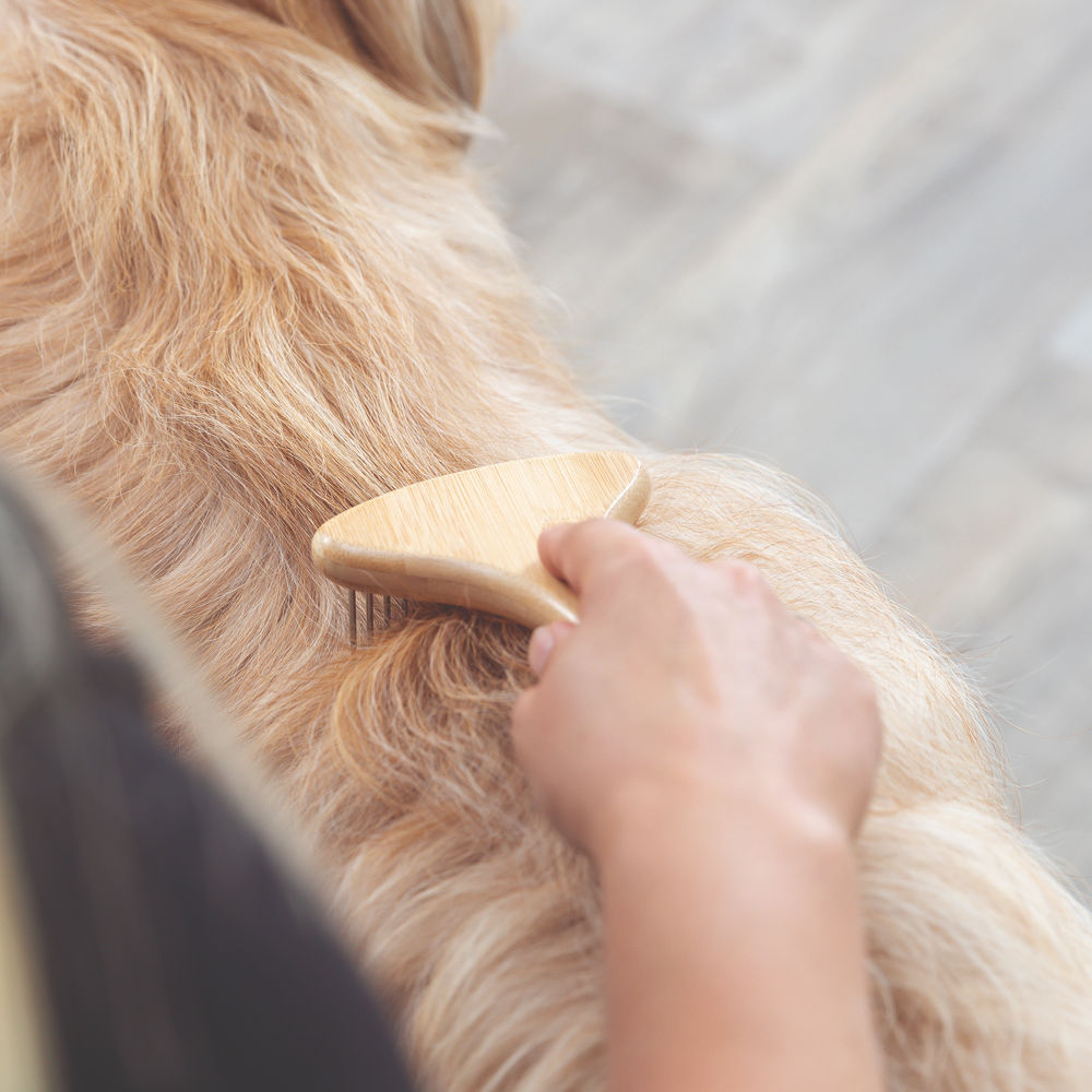 Trixie Detangler For Long Hair For Dogs - Image 2