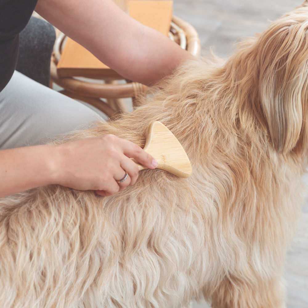 Trixie Detangler For Long Hair For Dogs - Image 3