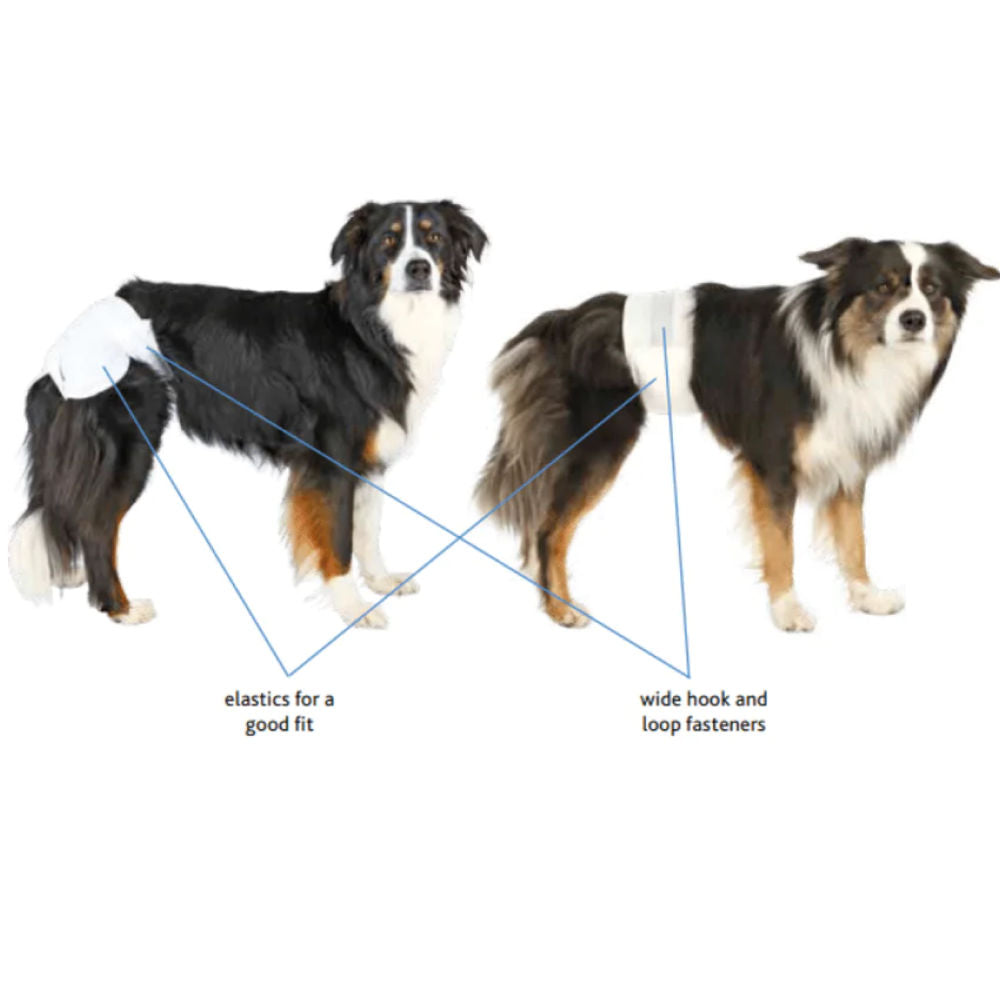 Trixie Diapers For Male Dogs 12Pcs Copy 1 - Image 2