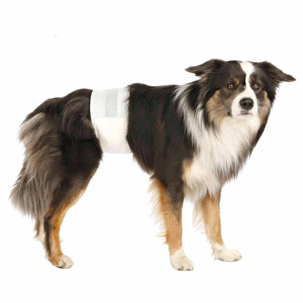 Trixie Diapers For Male Dogs 12Pcs Copy 1 - Image 3