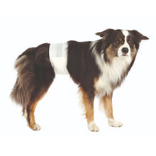Trixie Disposible Diapers For Male Dogs Pack Of 12 - Image 2